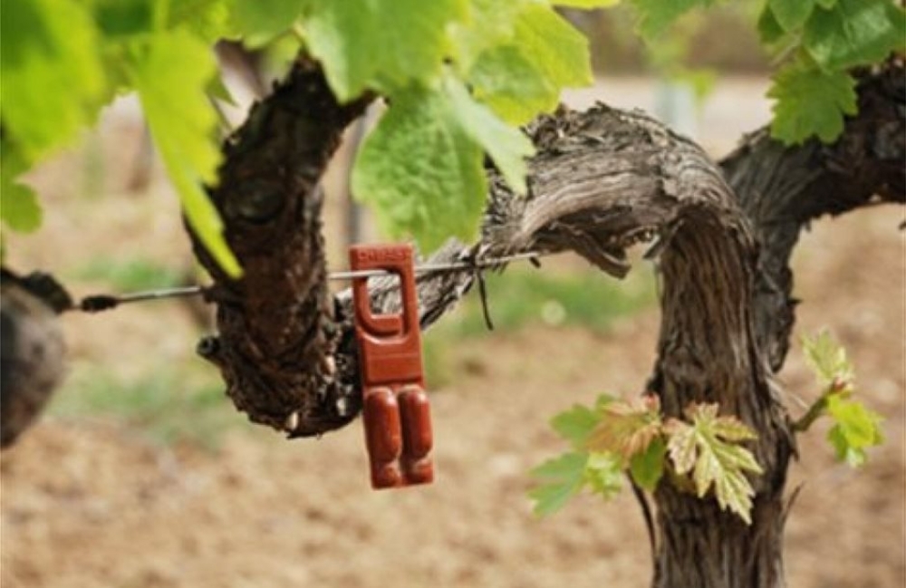 &Kappa;&omicron;&mu;&phi;&omicron;ύ&zeta;&iota;&omicron;: &Pi;&alpha;&rho;ά&tau;&alpha;&sigma;&eta; έ&omega;&sigmaf; &tau;&eta; &Delta;&epsilon;&upsilon;&tau;έ&rho;&alpha; 5 &Mu;&alpha;ΐ&omicron;&upsilon;