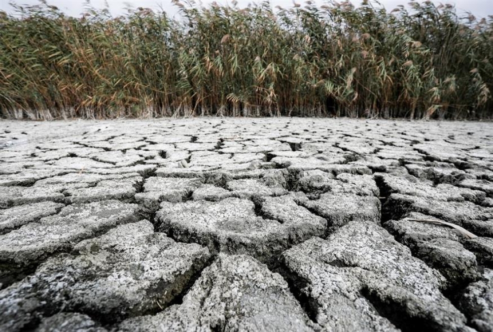 &Xi;&eta;&rho;&alpha;&sigma;ί&alpha;: &Omicron;&iota; &pi;&epsilon;&rho;&iota;&omicron;&chi;έ&sigmaf; &tau;&eta;&sigmaf; &Epsilon;&lambda;&lambda;ά&delta;&alpha;&sigmaf; &pi;&omicron;&upsilon; &pi;&lambda;ή&tau;&tau;&omicron;&nu;&tau;&alpha;&iota; &pi;&epsilon;&rho;&iota;&sigma;&sigma;ό&tau;&epsilon;&rho;&omicron;