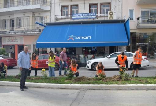 Φύτεψε τριανταφυλλιές το 1ο Γυμνάσιο Σπάρτης