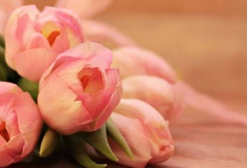 Σύναξη γονέων της Ενορίας Αγ. Σπυρίδωνος Σπάρτης