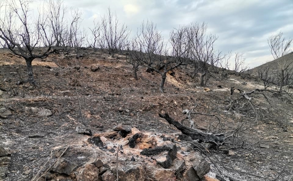 &Sigma;&tau;ά&chi;&tau;&eta; 110.000 &sigma;&tau;&rho;έ&mu;&mu;&alpha;&tau;&alpha; &tau;&omicron; 2021 &sigma;&tau;&eta; &Lambda;&alpha;&kappa;&omega;&nu;ί&alpha;