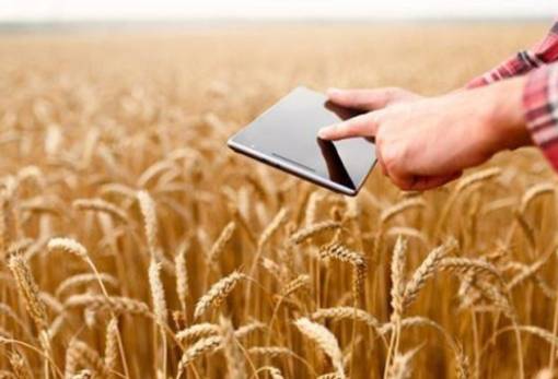 ΕΛΓΟ ΔΗΜΗΤΡΑ – Γεωργικοί Σύμβουλοι: Ξεκίνησε η υποβολή αιτήσεων για την πιστοποίηση