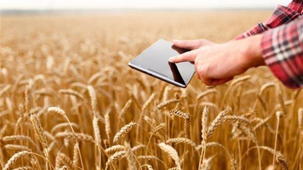 &Epsilon;&Lambda;&Gamma;&Omicron; &Delta;&Eta;&Mu;&Eta;&Tau;&Rho;&Alpha; &ndash; &Gamma;&epsilon;&omega;&rho;&gamma;&iota;&kappa;&omicron;ί &Sigma;ύ&mu;&beta;&omicron;&upsilon;&lambda;&omicron;&iota;: &Xi;&epsilon;&kappa;ί&nu;&eta;&sigma;&epsilon; &eta; &upsilon;&pi;&omicron;&beta;&omicron;&lambda;ή &alpha;&iota;&tau;ή&sigma;&epsilon;&omega;&nu; &gamma;&iota;&alpha; &tau;&eta;&nu; &pi;&iota;&sigma;&tau;&omicron;&pi;&omicron;ί&eta;&sigma;&eta;