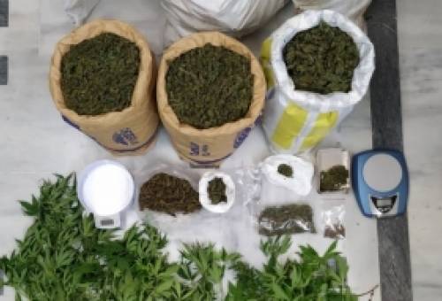 Εξαρθρώθηκε εγκληματική οργάνωση στη Λακωνία