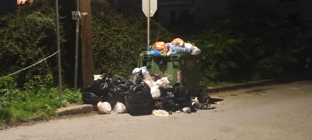 &Omicron;&iota; &kappa;ά&delta;&omicron;&iota; &laquo;&xi;&epsilon;&chi;&epsilon;ί&lambda;&iota;&sigma;&alpha;&nu;&raquo; -&Sigma;&tau;&alpha; &pi;&rho;ό&theta;&upsilon;&rho;&alpha; έ&kappa;&tau;&alpha;&kappa;&tau;&eta;&sigmaf; &alpha;&nu;ά&gamma;&kappa;&eta;&sigmaf; &eta; &Sigma;&pi;ά&rho;&tau;&eta;