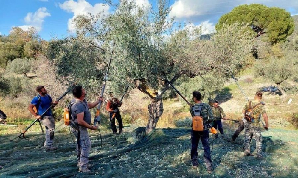 &Epsilon;&upsilon;&chi;&alpha;&rho;&iota;&sigma;&tau;ί&epsilon;&sigmaf; &sigma;&tau;&omicron;&upsilon;&sigmaf; &nu;έ&omicron;&upsilon;&sigmaf; &tau;&omicron;&upsilon; &Gamma;&epsilon;&rho;&alpha;&kappa;ί&omicron;&upsilon; &alpha;&pi;ό &tau;&omicron;&nu; &Mu;&eta;&tau;&rho;&omicron;&pi;&omicron;&lambda;ί&tau;&eta; &Epsilon;&upsilon;&sigma;&tau;ά&theta;&iota;&omicron;