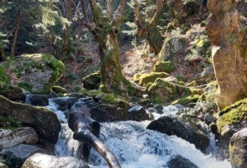 Λακε-Δαιμονικά: Ακολουθώντας τα μονοπάτια των λακωνικών θρύλων