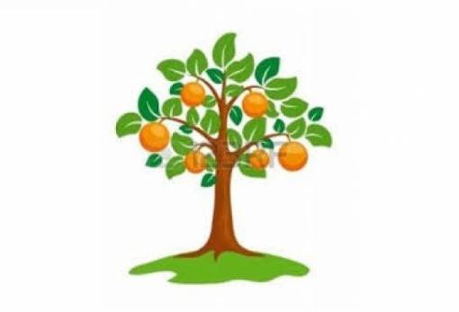 Ο περιβολάρης κι οι Αλουστίνες