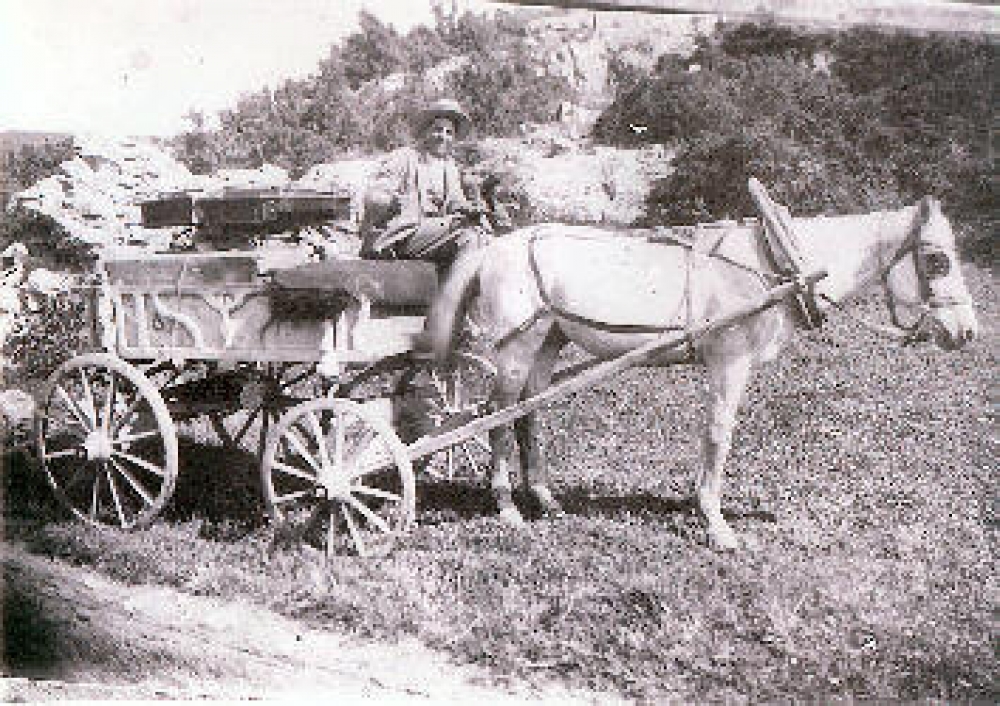 &Omicron; &theta;&upsilon;&mu;&omega;&mu;έ&nu;&omicron;&sigmaf; &alpha;&gamma;&omega;&gamma;&iota;ά&tau;&eta;&sigmaf; ή &Tau;&omicron; &pi;&omicron;&upsilon;&lambda;ί &tau;&eta;&sigmaf; &alpha;&lambda;ή&theta;&epsilon;&iota;&alpha;&sigmaf;