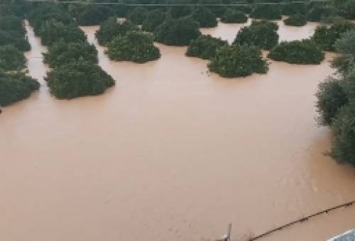 Στο έλεος της κακοκαιρίας και πάλι ο Δ. Ευρώτα (ΦΩΤΟ)