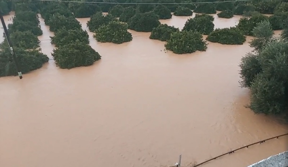 &Sigma;&tau;&omicron; έ&lambda;&epsilon;&omicron;&sigmaf; &tau;&eta;&sigmaf; &kappa;&alpha;&kappa;&omicron;&kappa;&alpha;&iota;&rho;ί&alpha;&sigmaf; &kappa;&alpha;&iota; &pi;ά&lambda;&iota; &omicron; &Delta;. &Epsilon;&upsilon;&rho;ώ&tau;&alpha; (&Phi;&Omega;&Tau;&Omicron;)