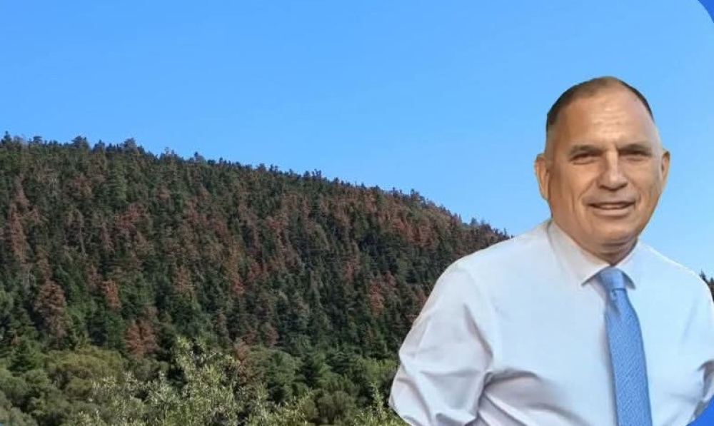 &laquo;&Kappa;&alpha;&mu;&pi;&alpha;&nu;ά&kappa;&iota;&raquo; &gamma;&iota;&alpha; &tau;&eta;&nu; &xi;ή&rho;&alpha;&nu;&sigma;&eta; &epsilon;&lambda;ά&tau;&omega;&nu; &sigma;&epsilon; &Pi;ά&rho;&nu;&omega;&nu;&alpha; &kappa;&alpha;&iota; &Tau;&alpha;ΰ&gamma;&epsilon;&tau;&omicron;