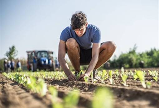 Νέοι αγρότες: Σε ΦΕΚ το νέο θεσμικό πλαίσιο