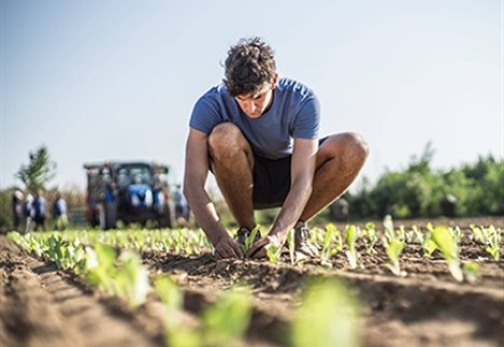 &Nu;έ&omicron;&iota; &alpha;&gamma;&rho;ό&tau;&epsilon;&sigmaf;: &Sigma;&epsilon; &Phi;&Epsilon;&Kappa; &tau;&omicron; &nu;έ&omicron; &theta;&epsilon;&sigma;&mu;&iota;&kappa;ό &pi;&lambda;&alpha;ί&sigma;&iota;&omicron;