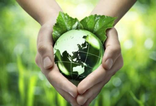 ΟΙΚΟΣΥΛ κι Επιτροπή Κατοίκων Δ. Ευρώτα για Ημέρα Περιβάλλοντος