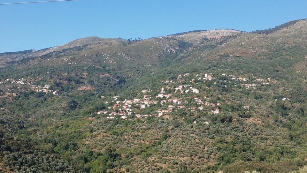 &Alpha;&gamma;έ&lambda;&eta; ά&gamma;&rho;&iota;&omega;&nu; &zeta;ώ&omega;&nu; &kappa;&alpha;&tau;&alpha;&sigma;&pi;ά&rho;&alpha;&xi;&epsilon; &kappa;&omicron;&pi;ά&delta;&iota; &sigma;&tau;&omicron;&nu; &Tau;&alpha;ΰ&gamma;&epsilon;&tau;&omicron;