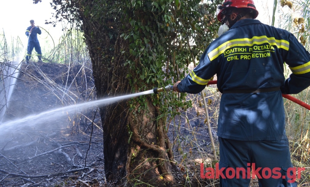 &Gamma;&iota;&alpha; 3&eta; &phi;&omicron;&rho;ά &phi;&omega;&tau;&iota;ά &pi;&lambda;&eta;&sigma;ί&omicron;&nu; &tau;&omicron;&upsilon; &Epsilon;&upsilon;&rho;ώ&tau;&alpha; &sigma;&tau;&eta; &Sigma;&pi;ά&rho;&tau;&eta;