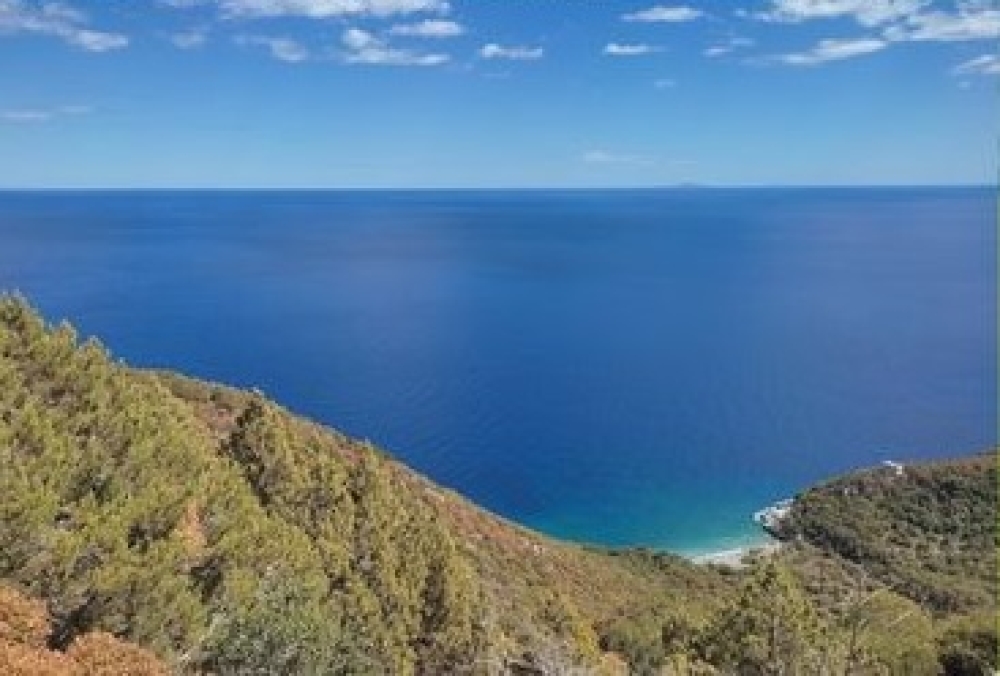 &Tau;&omicron;&nu; &omicron;&rho;&epsilon;&iota;&nu;ό &Zeta;ά&rho;&alpha;&kappa;&alpha; &epsilon;&xi;&epsilon;&rho;&epsilon;&upsilon;&nu;&omicron;ύ&nu; &omicron;&iota; &Epsilon;&Omicron;&Sigma; &Mu;&omicron;&lambda;ά&omega;&nu;-&Nu;&Alpha; &Lambda;&alpha;&kappa;&omega;&nu;ί&alpha;&sigmaf; &kappa;&alpha;&iota; &Tau;&rho;ί&pi;&omicron;&lambda;&eta;&sigmaf;