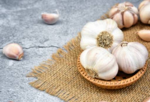 Πώς μπορείς να προστατέψεις τα φυτά σου με ένα σκόρδο