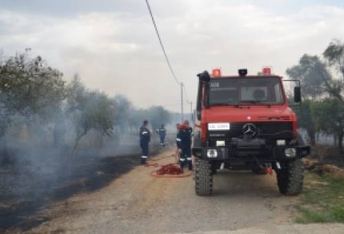 Ευχαριστίες του Δ. Σπάρτης προς την Πυροσβεστική και τους κατοίκους της Μαγούλας