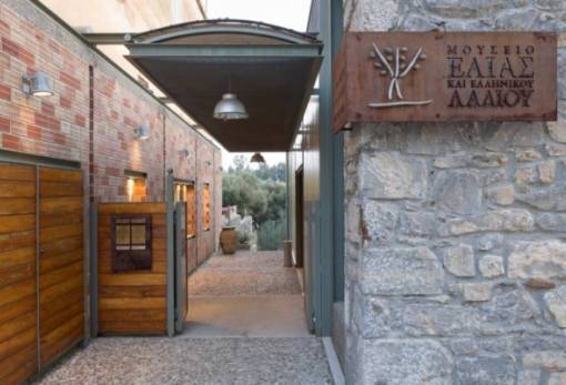 Εκπαιδευτικό εργαστήρι για σχολικές ομάδες στο Μουσείο Ελιάς και Λαδιού