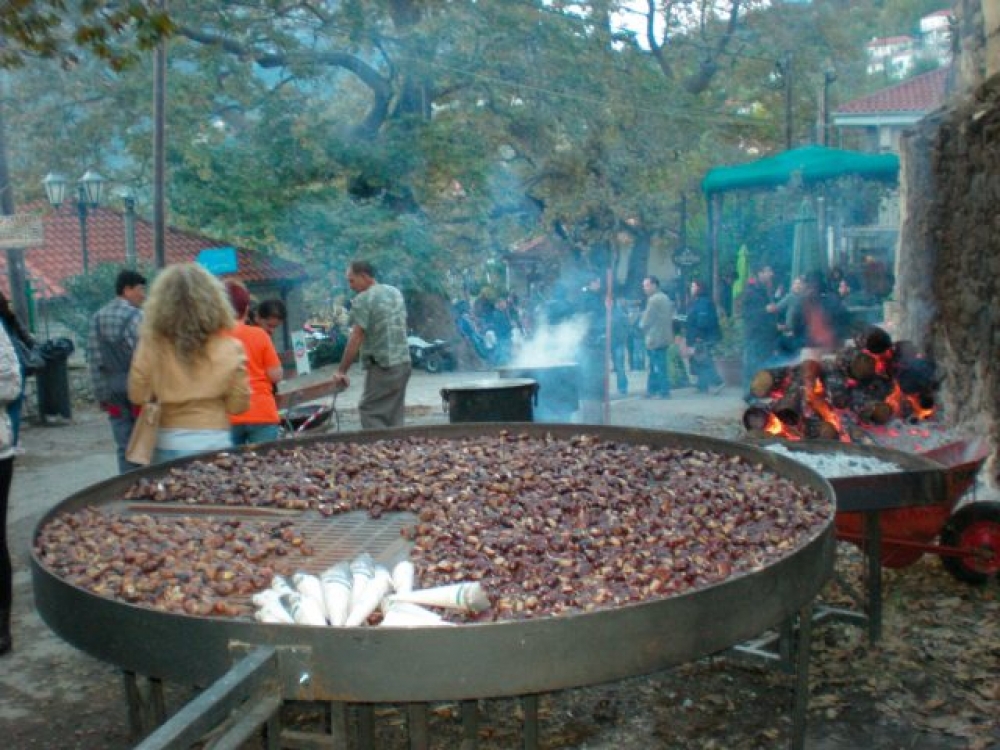 &Gamma;&epsilon;ύ&sigma;&epsilon;&iota;&sigmaf;, &pi;&alpha;&rho;ά&delta;&omicron;&sigma;&eta; &kappa;&alpha;&iota; &psi;&upsilon;&chi;&alpha;&gamma;&omega;&gamma;ί&alpha; &sigma;&tau;&eta;&nu; &laquo;&Gamma;&iota;&omicron;&rho;&tau;ή &tau;&omicron;&upsilon; &Kappa;ά&sigma;&tau;&alpha;&nu;&omicron;&upsilon;&raquo; &sigma;&tau;&eta;&nu; Ά&rho;&nu;&alpha;!