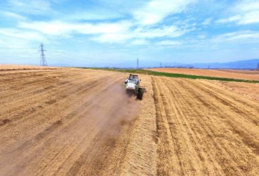 Κατά 21% ακριβότερες οι τιμές εκροών σε Γεωργία - Κτηνοτροφία τον Ιανουάριο