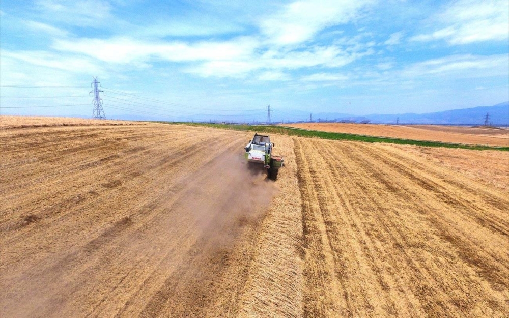 &Kappa;&alpha;&tau;ά 21% &alpha;&kappa;&rho;&iota;&beta;ό&tau;&epsilon;&rho;&epsilon;&sigmaf; &omicron;&iota; &tau;&iota;&mu;έ&sigmaf; &epsilon;&kappa;&rho;&omicron;ώ&nu; &sigma;&epsilon; &Gamma;&epsilon;&omega;&rho;&gamma;ί&alpha; - &Kappa;&tau;&eta;&nu;&omicron;&tau;&rho;&omicron;&phi;ί&alpha; &tau;&omicron;&nu; &Iota;&alpha;&nu;&omicron;&upsilon;ά&rho;&iota;&omicron;