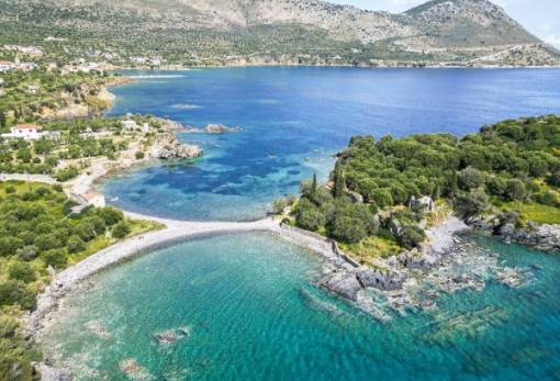 Δράσεις γραμμάτων και τεχνών στον Κότρωνα