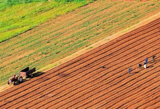 Παρατείνονται οι αιτήσεις για την πληρωμή των ομάδων και οργανώσεων παραγωγών