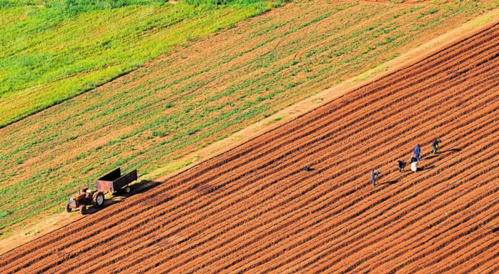 &Pi;&alpha;&rho;&alpha;&tau;&epsilon;ί&nu;&omicron;&nu;&tau;&alpha;&iota; &omicron;&iota; &alpha;&iota;&tau;ή&sigma;&epsilon;&iota;&sigmaf; &gamma;&iota;&alpha; &tau;&eta;&nu; &pi;&lambda;&eta;&rho;&omega;&mu;ή &tau;&omega;&nu; &omicron;&mu;ά&delta;&omega;&nu; &kappa;&alpha;&iota; &omicron;&rho;&gamma;&alpha;&nu;ώ&sigma;&epsilon;&omega;&nu; &pi;&alpha;&rho;&alpha;&gamma;&omega;&gamma;ώ&nu;