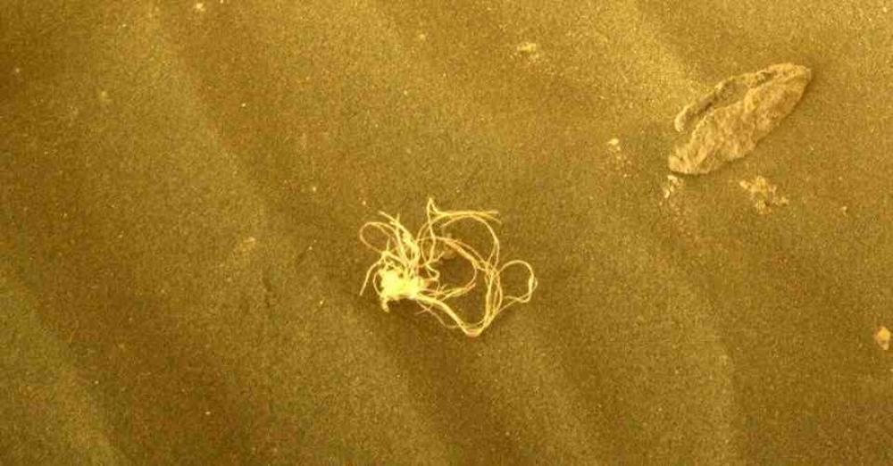 &Eta; NASA &beta;&rho;ή&kappa;&epsilon;&hellip; &sigma;&pi;&alpha;&gamma;&gamma;έ&tau;&iota; &sigma;&tau;&omicron;&nu; Ά&rho;&eta;