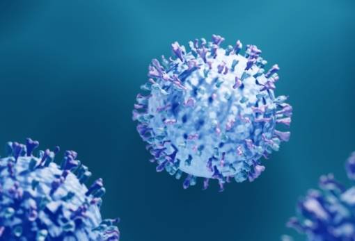 Γκίκας Μαγιορκίνης για τον μεταπνευμονοϊό: «Δεν υπάρχει εμβόλιο, δεν είναι κάτι που μας ανησυχεί»