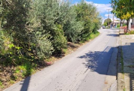 Δ. Σπάρτης για Θερμοπυλών: «Χάρη στην αντιπολίτευση η επίλυση παραπέμπεται στις σπαρτιατικές καλένδες»