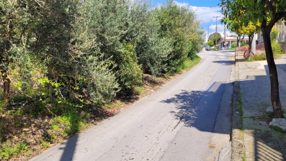 &Delta;. &Sigma;&pi;ά&rho;&tau;&eta;&sigmaf; &gamma;&iota;&alpha; &Theta;&epsilon;&rho;&mu;&omicron;&pi;&upsilon;&lambda;ώ&nu;: &laquo;&Chi;ά&rho;&eta; &sigma;&tau;&eta;&nu; &alpha;&nu;&tau;&iota;&pi;&omicron;&lambda;ί&tau;&epsilon;&upsilon;&sigma;&eta; &eta; &epsilon;&pi;ί&lambda;&upsilon;&sigma;&eta; &pi;&alpha;&rho;&alpha;&pi;έ&mu;&pi;&epsilon;&tau;&alpha;&iota; &sigma;&tau;&iota;&sigmaf; &sigma;&pi;&alpha;&rho;&tau;&iota;&alpha;&tau;&iota;&kappa;έ&sigmaf; &kappa;&alpha;&lambda;έ&nu;&delta;&epsilon;&sigmaf;&raquo;