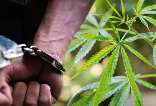 Ανήλικος «πιάστηκε» για κάνναβη στη Σπάρτη