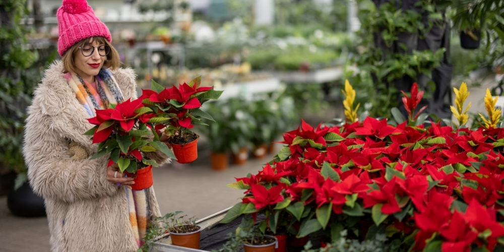 &Chi;&rho;&iota;&sigma;&tau;&omicron;ύ&gamma;&epsilon;&nu;&nu;&alpha; 2025 - Έ&rho;&epsilon;&upsilon;&nu;&alpha;: &Pi;&omicron;&iota;&omicron;&iota; &kappa;&alpha;&iota; &pi;ό&sigma;&alpha; &theta;&alpha; &delta;&alpha;&pi;&alpha;&nu;ή&sigma;&omicron;&upsilon;&nu; &gamma;&iota;&alpha; &alpha;&gamma;&omicron;&rho;έ&sigmaf;