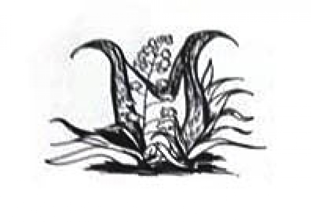 &Omicron; &alpha;&theta;ά&nu;&alpha;&tau;&omicron;&sigmaf;