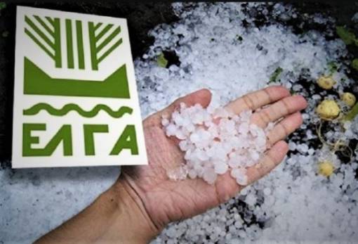 Πορίσματα για τις ζημιές από το χαλάζι του Ιανουαρίου στο Γεράκι