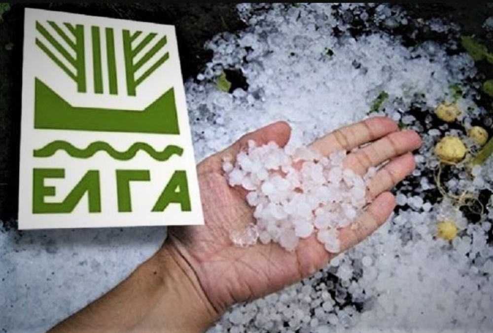 &Pi;&omicron;&rho;ί&sigma;&mu;&alpha;&tau;&alpha; &gamma;&iota;&alpha; &tau;&iota;&sigmaf; &zeta;&eta;&mu;&iota;έ&sigmaf; &alpha;&pi;ό &tau;&omicron; &chi;&alpha;&lambda;ά&zeta;&iota; &tau;&omicron;&upsilon; &Iota;&alpha;&nu;&omicron;&upsilon;&alpha;&rho;ί&omicron;&upsilon; &sigma;&tau;&omicron; &Gamma;&epsilon;&rho;ά&kappa;&iota;