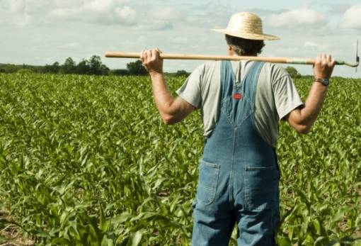 Πρωθυπουργός και αγρότες σε «παραγωγική διάθεση»