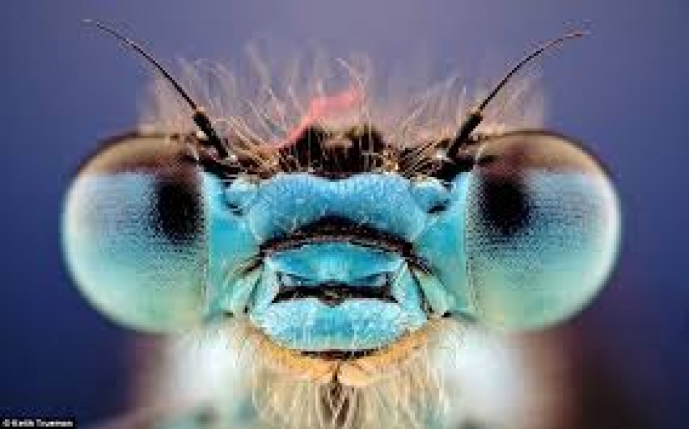 &laquo;&Epsilon;&iota;&sigma;&beta;&omicron;&lambda;ή&raquo; &sigma;&tau;&eta;&nu; &Epsilon;&upsilon;&rho;ώ&pi;&eta;: Έ&rho;&chi;&omicron;&nu;&tau;&alpha;&iota; 2.500 &nu;έ&alpha; &xi;&epsilon;&nu;&iota;&kappa;ά &epsilon;ί&delta;&eta;