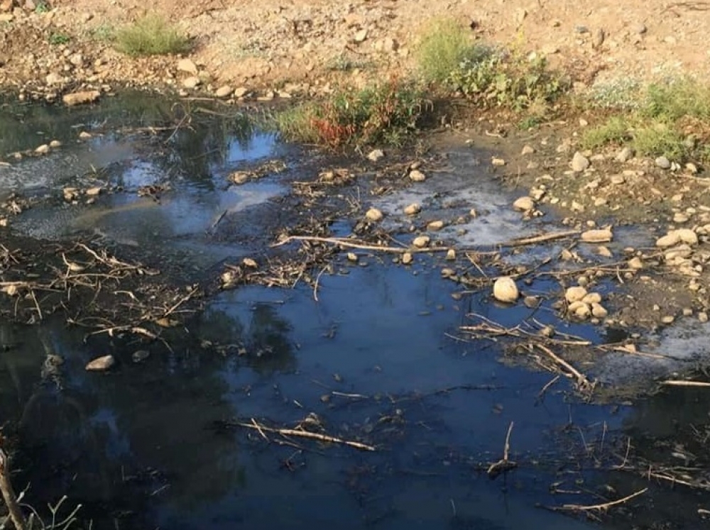 &Kappa;&alpha;&tau;ά&mu;&alpha;&upsilon;&rho;&eta; &eta; &Rho;&alpha;&sigma;ί&nu;&alpha; (&Phi;&Omega;&Tau;&Omicron;)