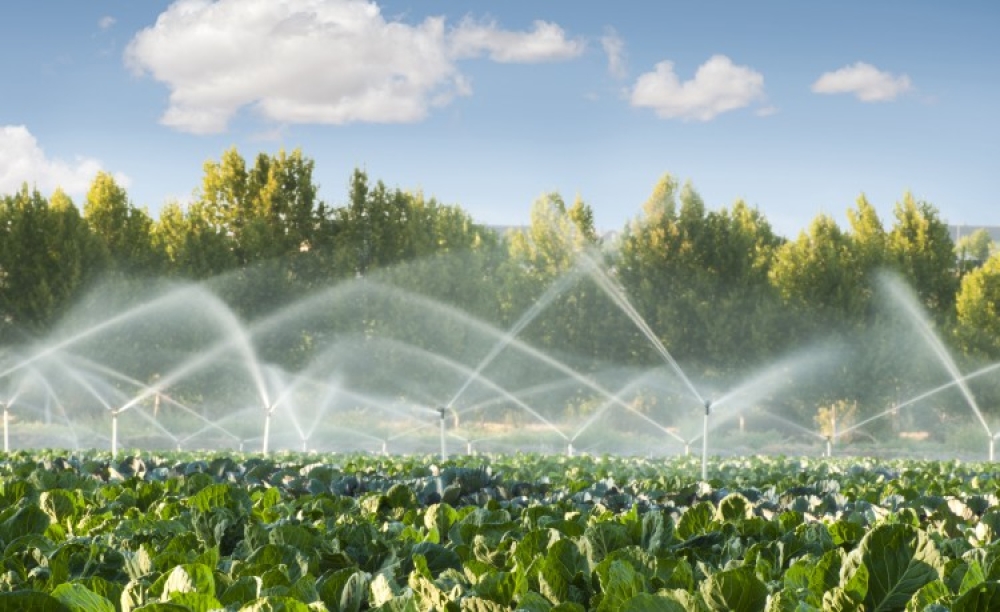 &Kappa;&alpha;ύ&sigma;&omega;&nu;&alpha;&sigmaf;: &Tau;&iota; &pi;&rho;έ&pi;&epsilon;&iota; &nu;&alpha; &pi;&rho;&omicron;&sigma;έ&xi;&omicron;&upsilon;&nu; &omicron;&iota; &pi;&alpha;&rho;&alpha;&gamma;&omega;&gamma;&omicron;ί