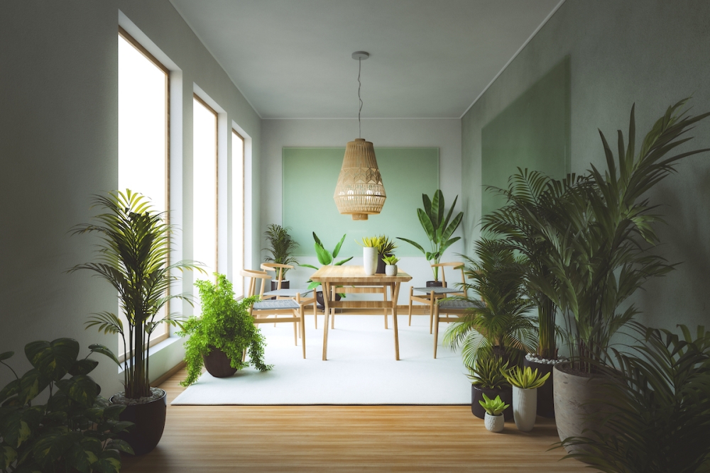 5 &phi;&upsilon;&tau;ά &pi;&omicron;&upsilon; &theta;&alpha; &delta;&rho;&omicron;&sigma;ί&sigma;&omicron;&upsilon;&nu; &tau;&omicron; &sigma;&pi;ί&tau;&iota; &sigma;&omicron;&upsilon;