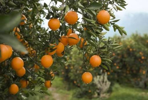 Κομφούζιο: Έως 30 Μαΐου η υποβολή παραστατικών πληρωμής