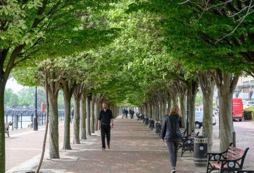 Περισσότερα δέντρα στις πόλεις της  Ευρώπης θα σώσουν χιλιάδες ζωές