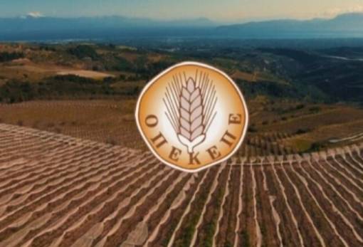 ΟΠΕΚΕΠΕ: Ξεκίνησαν οι πληρωμές για τις δασώσεις