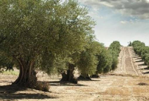 ΟΕΦ: Στα 49 εκατ. ευρώ η δαπάνη για τα επιχειρησιακά προγράμματα