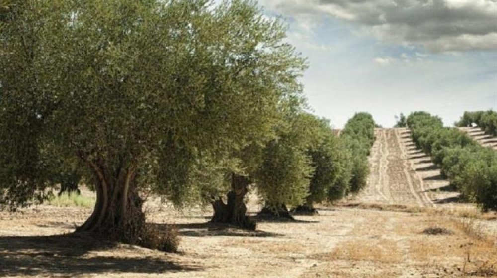 &Omicron;&Epsilon;&Phi;: &Sigma;&tau;&alpha; 49 &epsilon;&kappa;&alpha;&tau;. &epsilon;&upsilon;&rho;ώ &eta; &delta;&alpha;&pi;ά&nu;&eta; &gamma;&iota;&alpha; &tau;&alpha; &epsilon;&pi;&iota;&chi;&epsilon;&iota;&rho;&eta;&sigma;&iota;&alpha;&kappa;ά &pi;&rho;&omicron;&gamma;&rho;ά&mu;&mu;&alpha;&tau;&alpha;